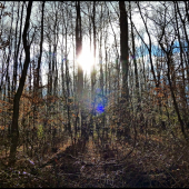 po daždi v hore ...