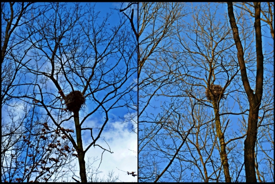 myšiakov bejvák ...