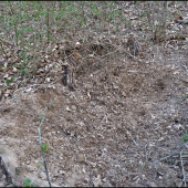 kompletná posádka - kus sa rozutekali :-)