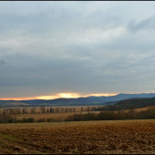 jarný podvečer ...