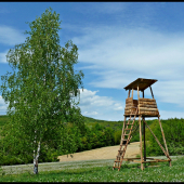 nový posed ...