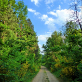 cestou do revíru ...