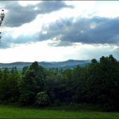 pohľad z posedu ...