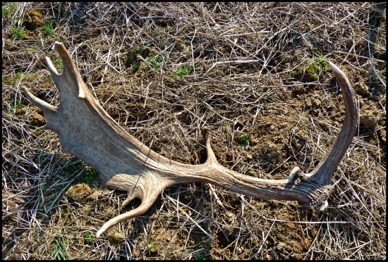 taký z tých lepších ...