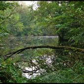 staré štrkovisko ...