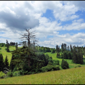 na Fatranských lúkach ...