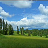 na Fatranských lúkach II. ...