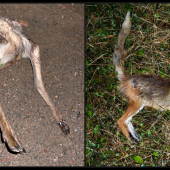 príčina a následok ...