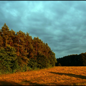 podvečer po daždi ...