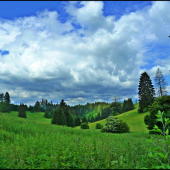 Fatranské lúky ...