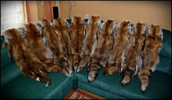 už vyrobené sezóna 2014 - 2015 ...