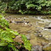 potok v Demänovskej doline ...