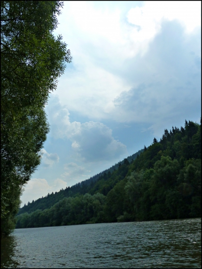 Orava ...