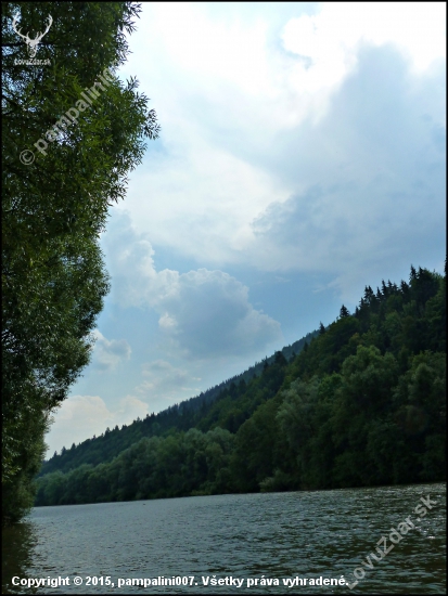 Orava ...