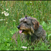 v utorok to boli dva roky čo odišla ... :-(