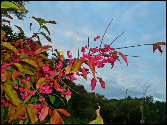 furt zabudnem, ako sa to volá ...:-)