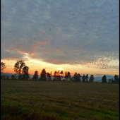 ... aj s komármi ...