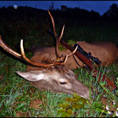 keď pršalo, mrholilo ...