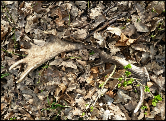 aj menší poteší ...