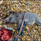 prasiatko zo spoločnej ...