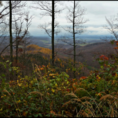 pohľad do doliny ...
