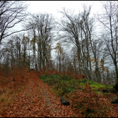 cestou na štand ...