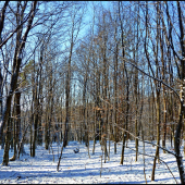 chvíľu sme mali aj sneh ...