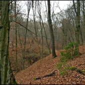 Ďalší járok predo mnou, toto v pohone milujem ... :-/