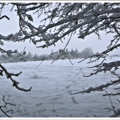 kedy už bude takto... ?