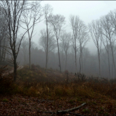 pohľad zo štandu ...