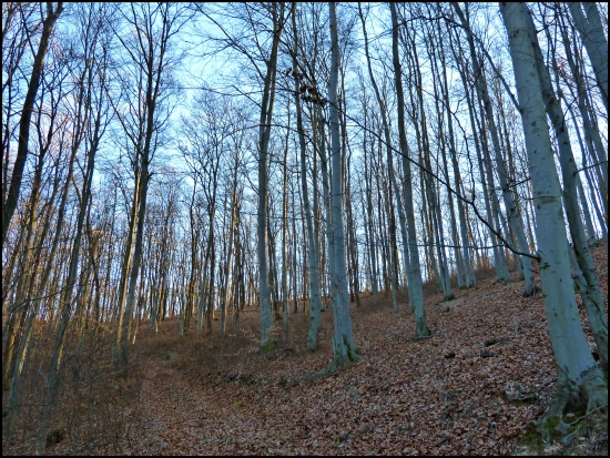 štand v bučine ...