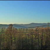na Nový rok - ako na jar ...