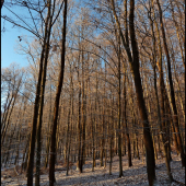 keď trochu nasneží ...