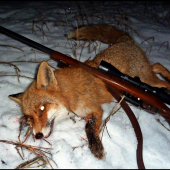 Už bolo načase ...