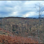 pred víchricou tam bola bučina ...