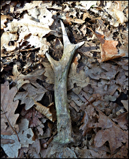 na začiatok nie najhorší ... :-)