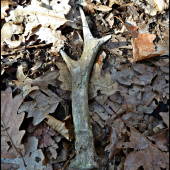 na začiatok nie najhorší ... :-)