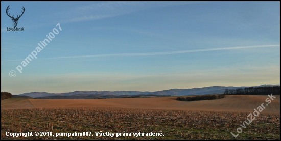 z prechádzky ...