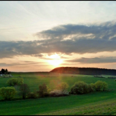 jarný podvečer ...