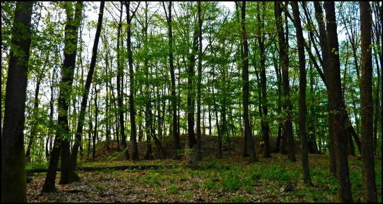 Pozostatok z Cerinského hradu ...