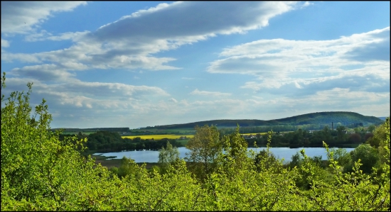 rybník ...