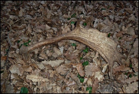 z tých menších cca 145 b.