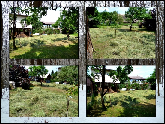 príprava na zimu ...