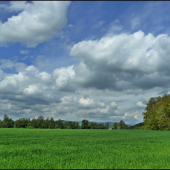 obláčiková ...