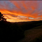 podvečer z posedu ...