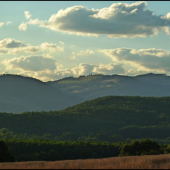 kopčeky v miernom opare ...