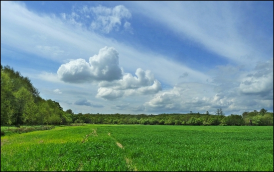jedna jarná ...