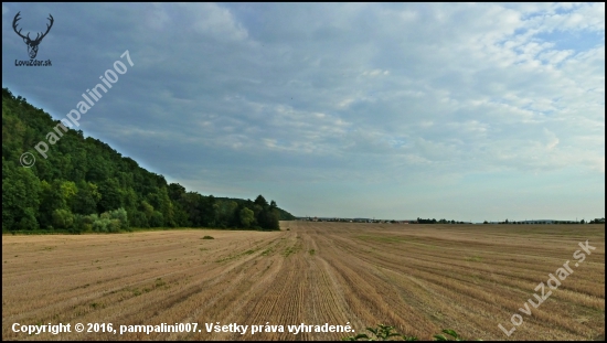 na strnisku ...