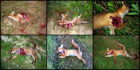 30-06 SB SPCE- Sako Super H