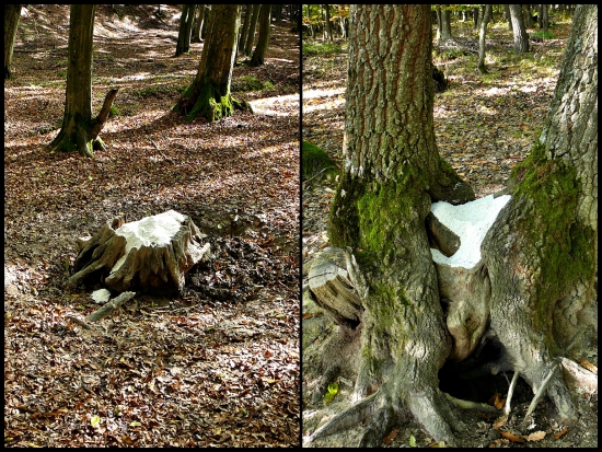 soliská doplnené ...